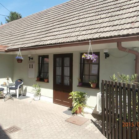 Apartments With A Parking Space Samobor, Prigorje - 12869 ภายนอก รูปภาพ