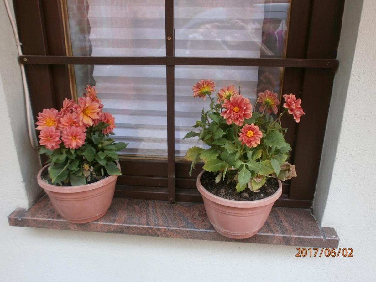 Apartments With A Parking Space Samobor, Prigorje - 12869 ภายนอก รูปภาพ